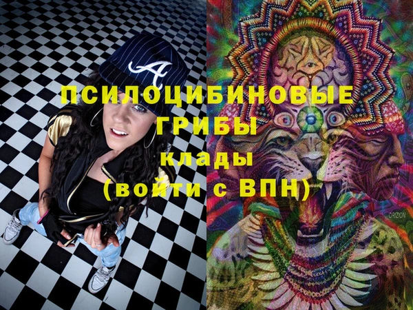 соль курить ск Богородск
