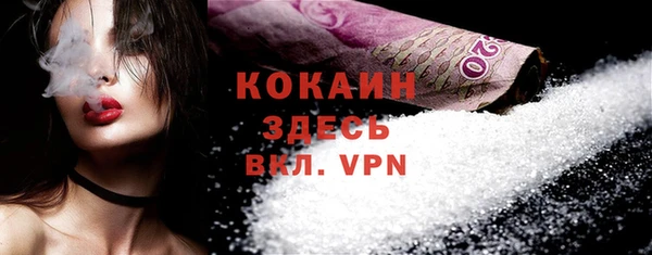 спиды Богданович