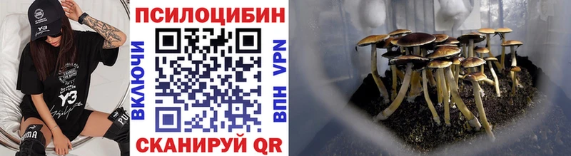 цена Болохово Псилоцибиновые грибы MAGIC MUSHROOMS